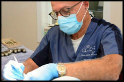Dr. Caplan doing a dental procedure for a pet