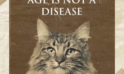 "Age is Not a Disease"
