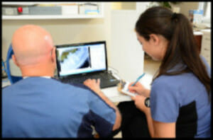 Annex animal hospital staff members looking at x-ray images on a laptop