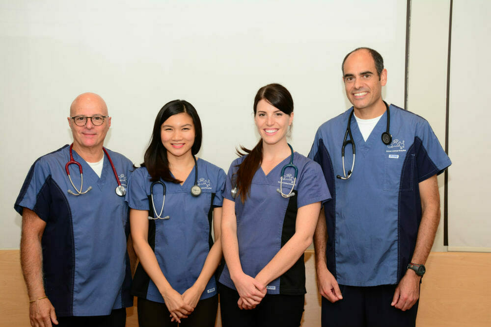 Annex animal hospital doctor team photo