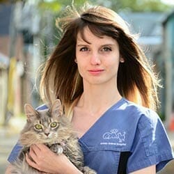 Victoria Dickson Registered Veterinary Technician holding a cat
