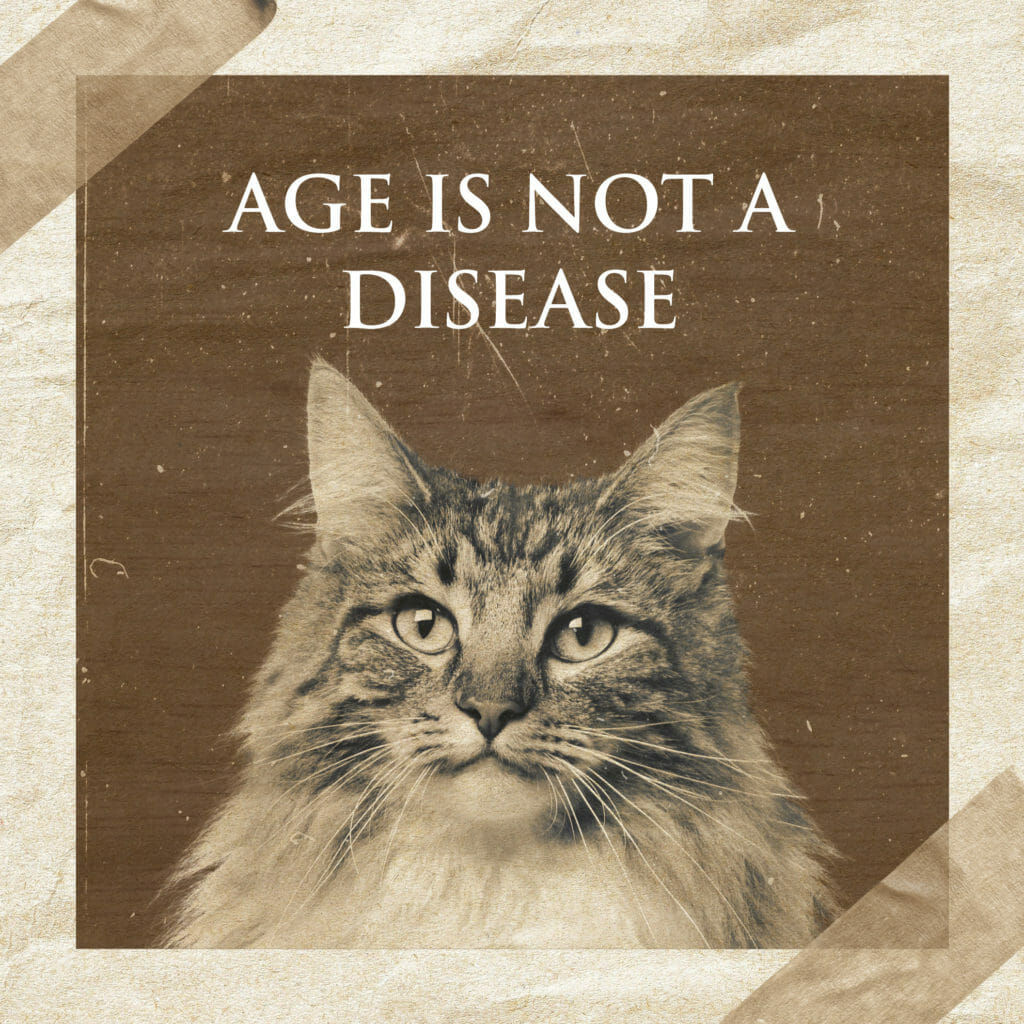 "Age is Not a Disease"